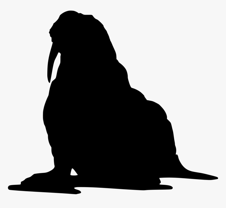 Walrus Silhouette Clipart , Png Download - Walrus Silhouette, Transparent Png, Free Download