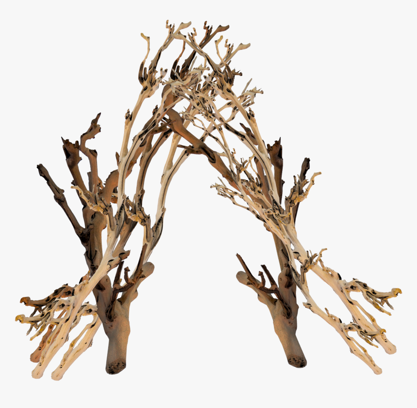 Twig Clipart , Png Download - Twig, Transparent Png, Free Download