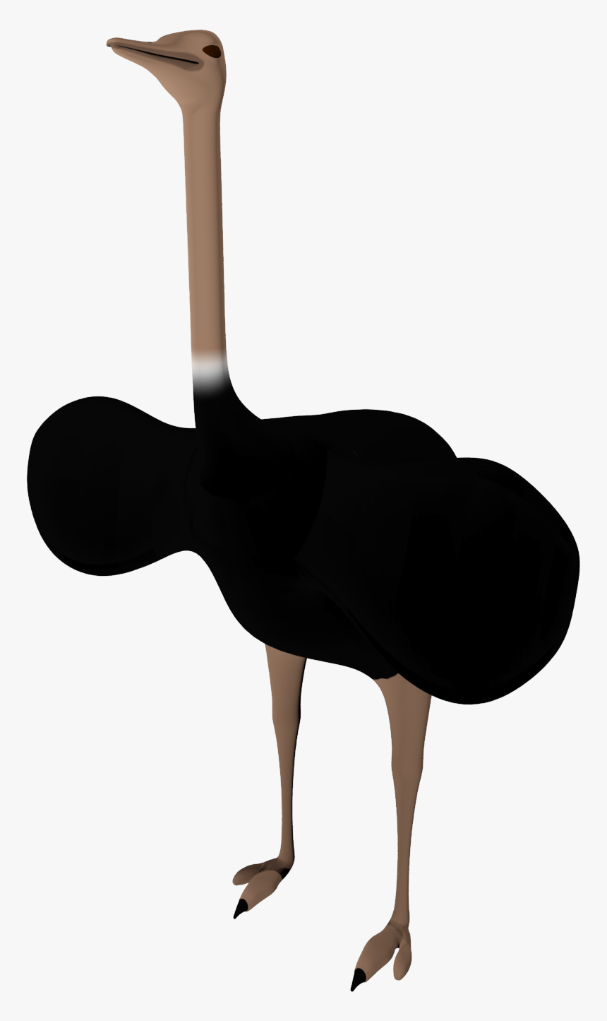 Black Ostrich Png Pictures - Golf, Transparent Png, Free Download