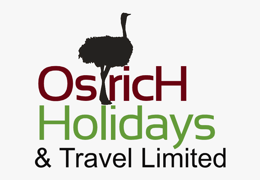 Ostrich Holidays And Travel Limited - A5 Size, HD Png Download, Free Download