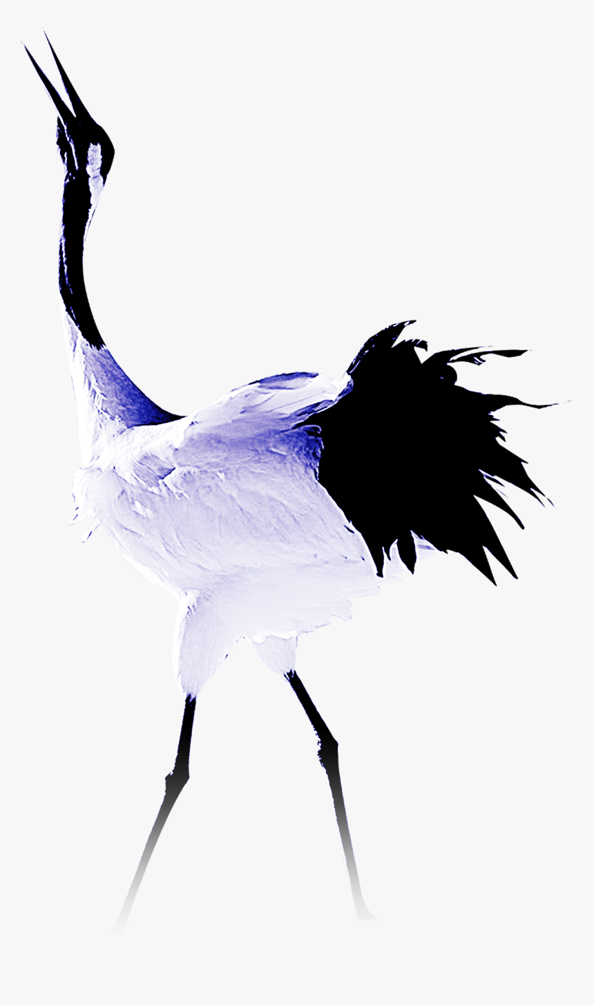 Transparent Ostrich Clipart - Crane, HD Png Download, Free Download