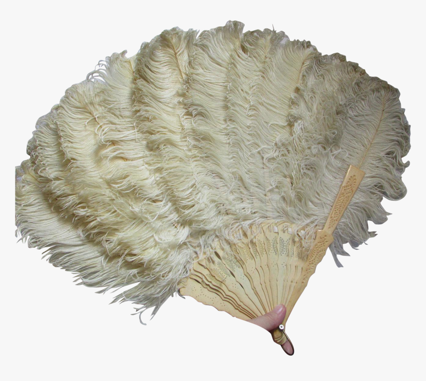 Victorian Edwardian Ladies Ostrich - Transparent Ostrich Feather Png, Png Download, Free Download