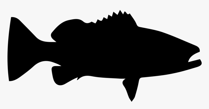 Cartoon Clip Art - Grouper Fish Clipart Black And White, HD Png Download, Free Download