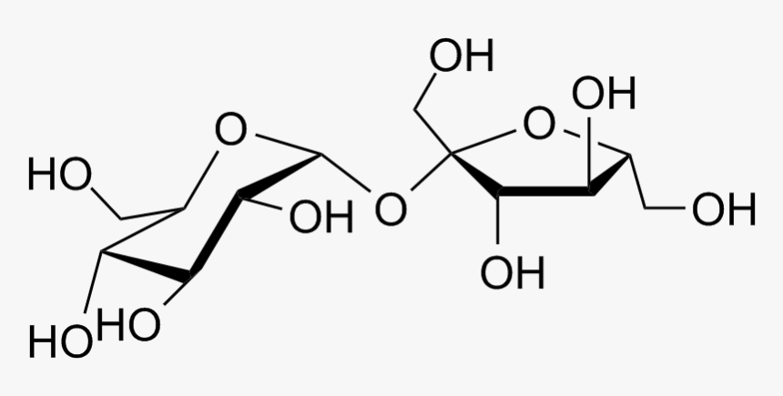 โครงสร้าง น้ํา ตาล ซูโครส, HD Png Download, Free Download