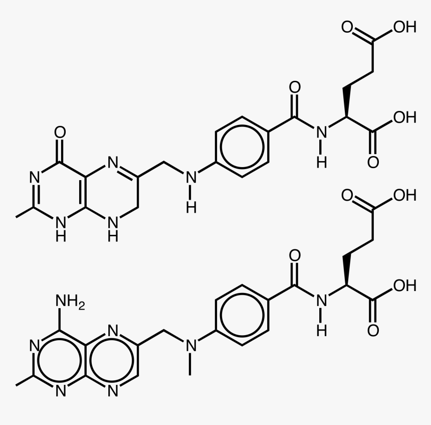 Isoptin Lp 240 Mg - Dihydrofolic Acid, HD Png Download, Free Download