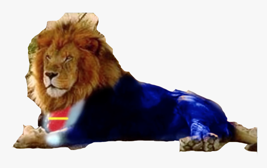 Transparent Idris Elba Png - Masai Lion, Png Download, Free Download
