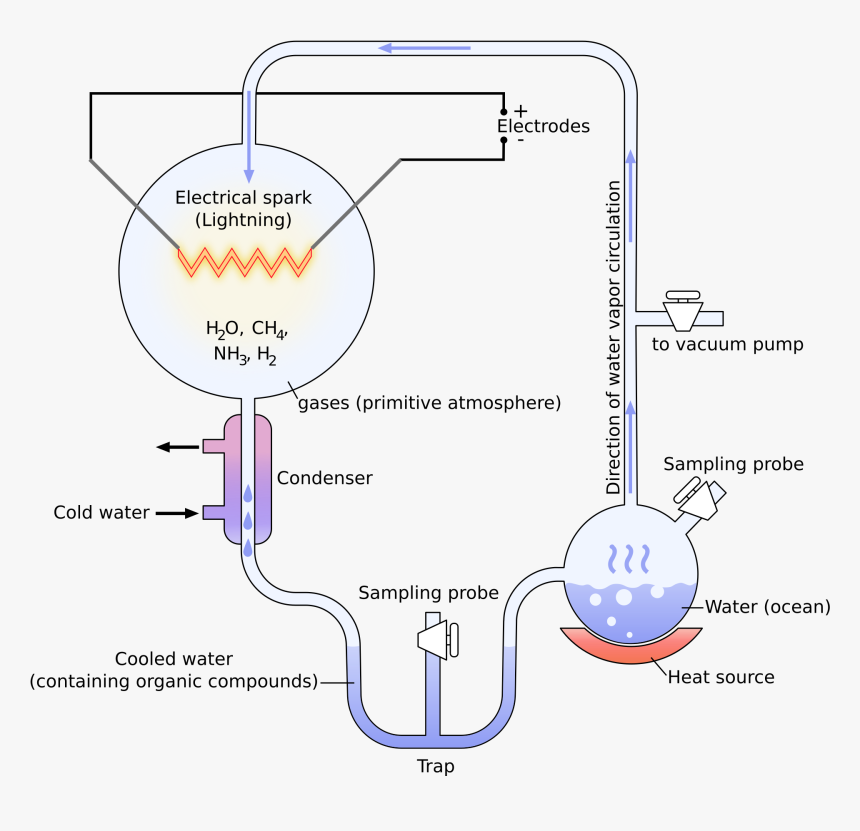 Miller Urey Experiment Labeled, HD Png Download, Free Download