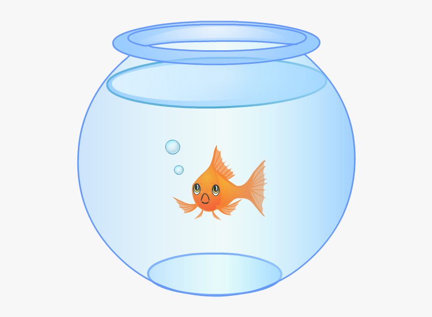 Goldfish, HD Png Download, Free Download