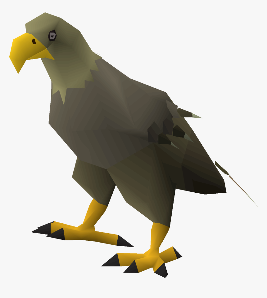 Transparent Jungle Vine Png - Osrs Eagles, Png Download, Free Download