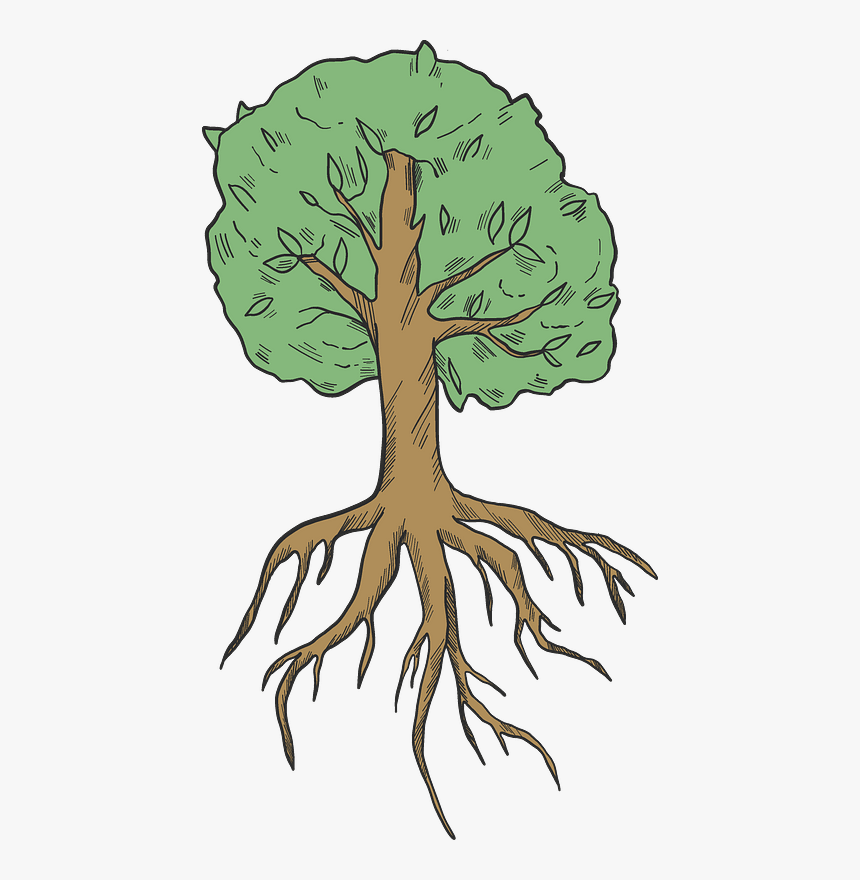 Tree With Roots Clipart, HD Png Download, Free Download