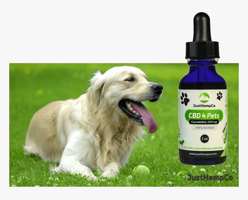 Hemp Cbd Oil For Pets - Lagoa Rodrigo De Freitas Parcão, HD Png Download, Free Download