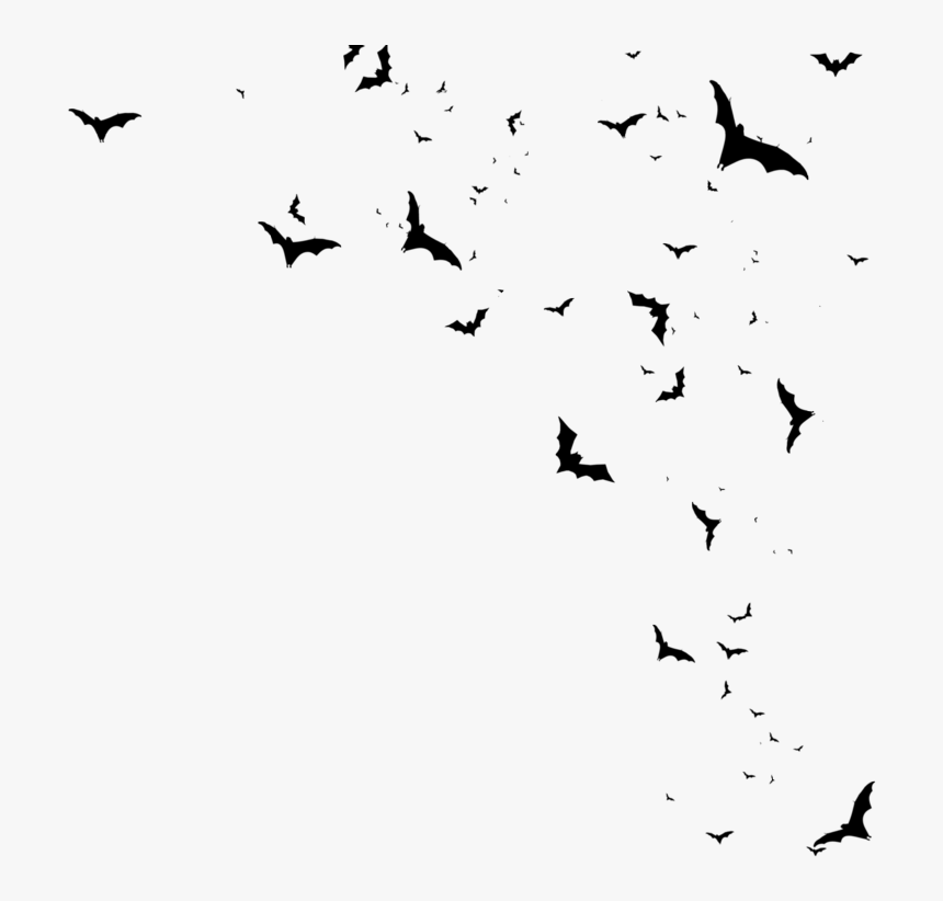 Transparent Flying Bats Png, Png Download, Free Download