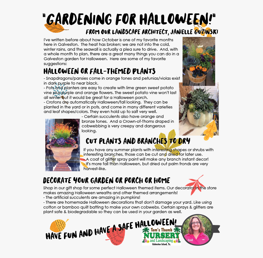 Flyer, HD Png Download, Free Download