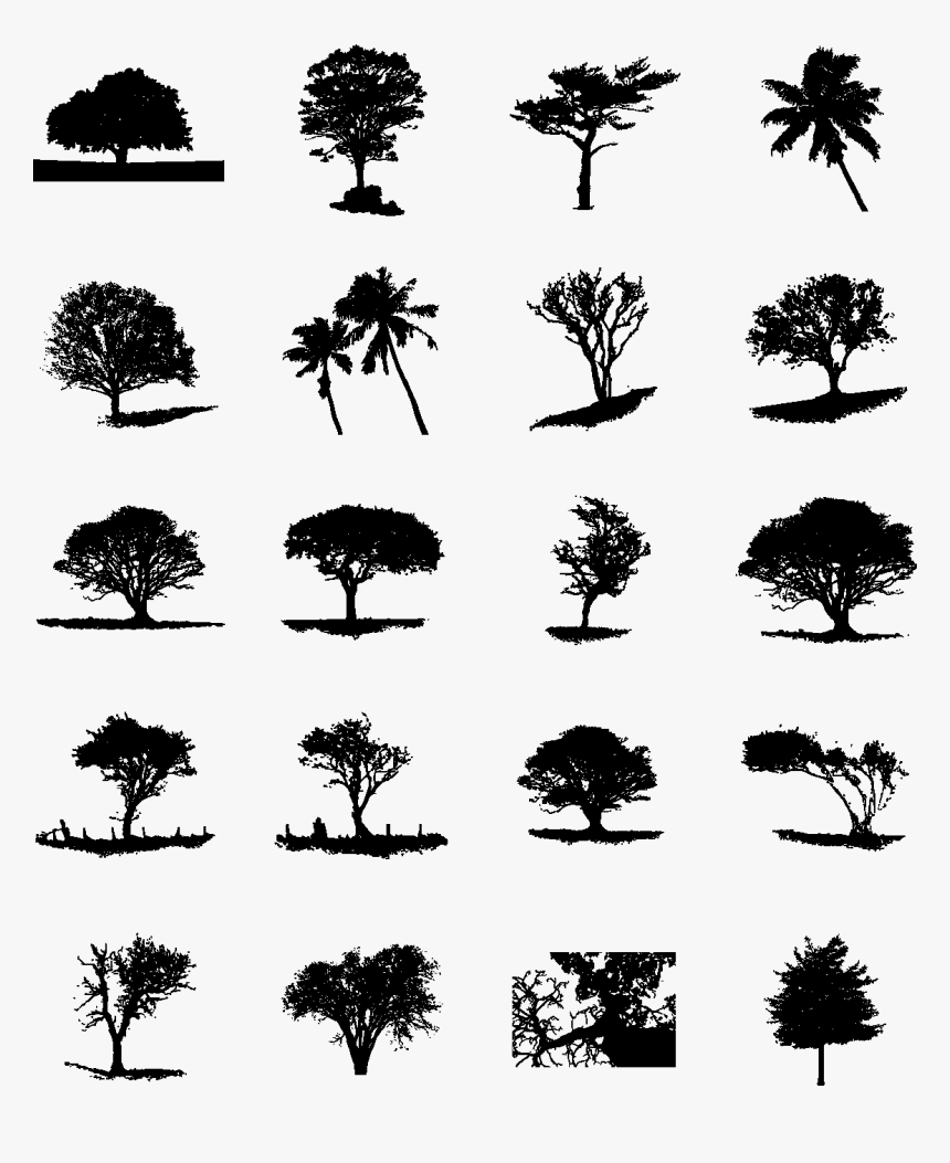 Transparent Tree Silhouette Vector Png - Architectural Tree Silhouette, Png Download, Free Download