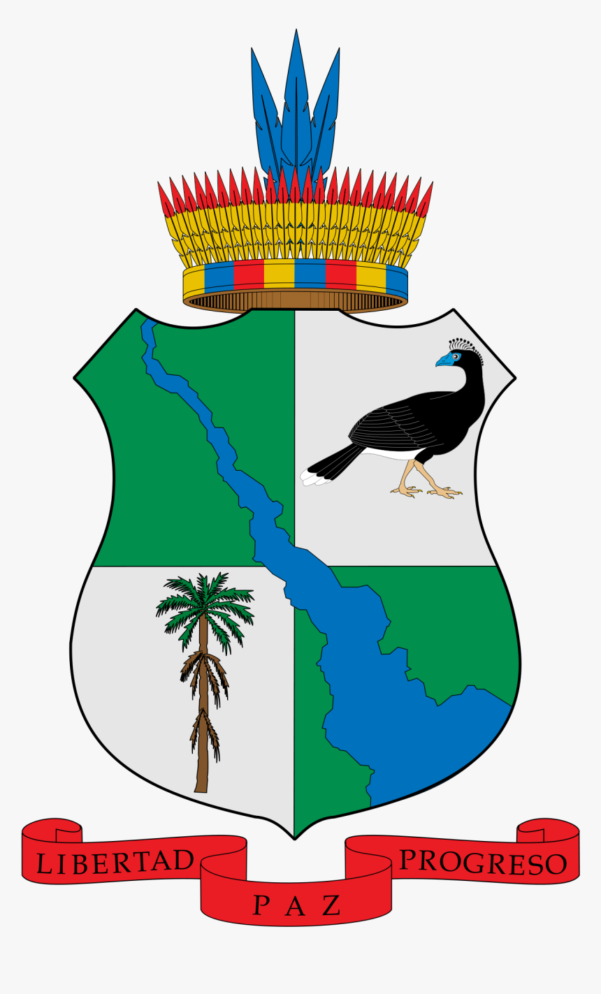 Escudo Del Caqueta Animado Para Colorear, HD Png Download, Free Download