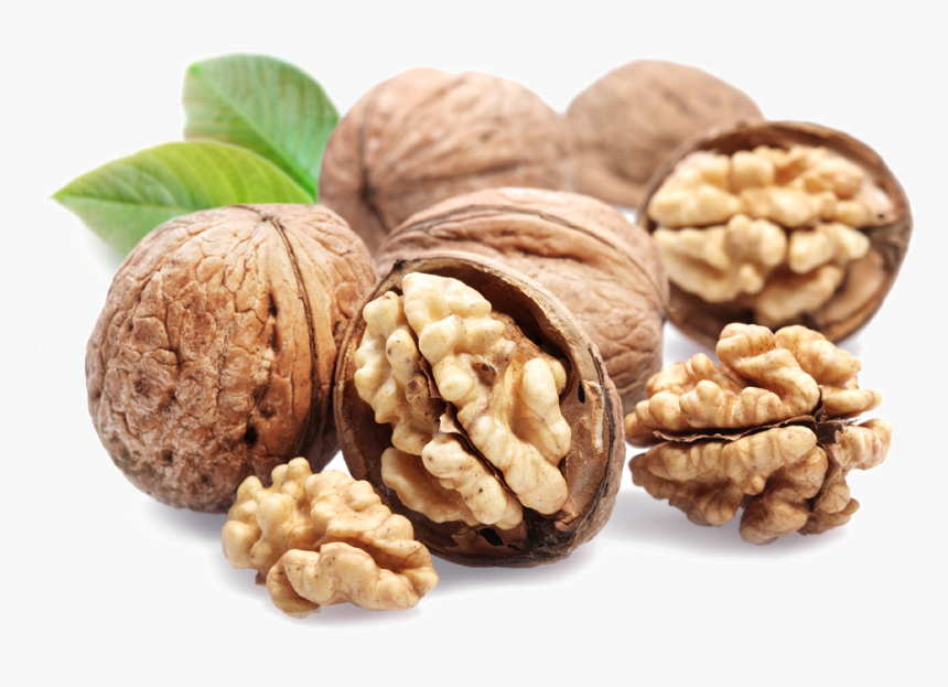 Walnut Png File - 1 Walnut, Transparent Png, Free Download