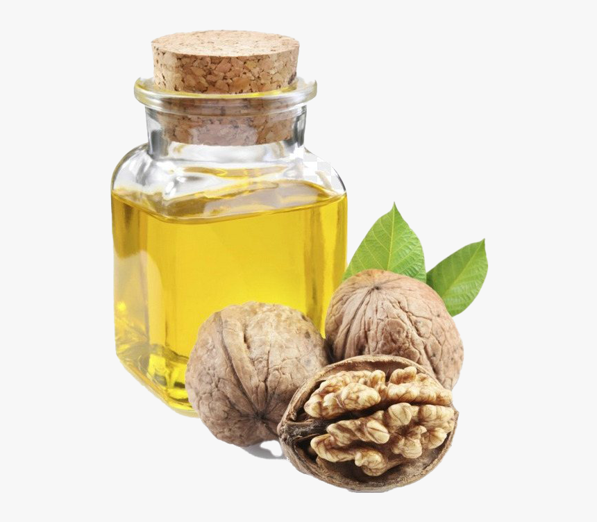 Walnut Oil Png Clipart - Unsaturated Vegetable Oil, Transparent Png, Free Download