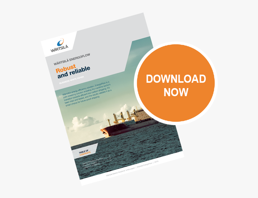 Download Bwp Wartsila Energoflow - Brochure, HD Png Download, Free Download