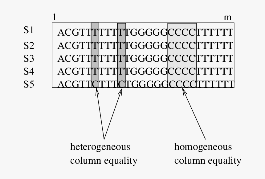 Number, HD Png Download, Free Download