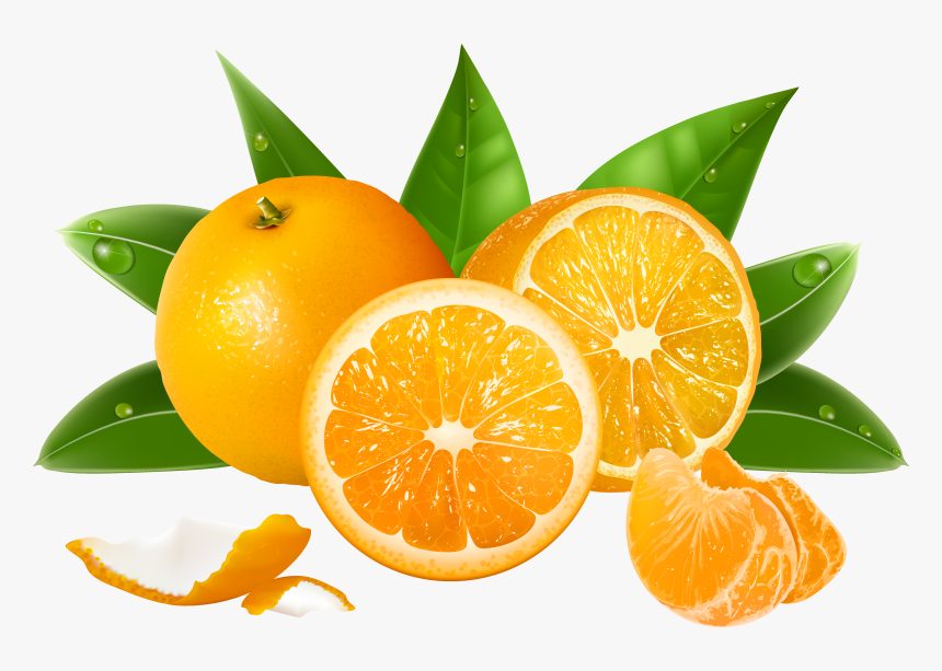 Oranges Clipart Png, Transparent Png, Free Download