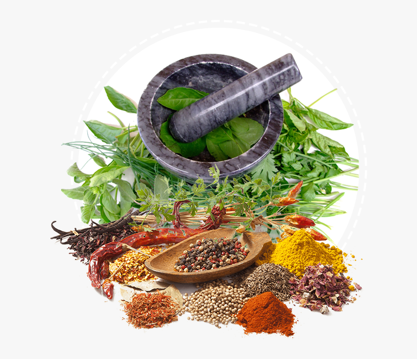 Ayurveda Services Health Medicine Herbalism Herbal - Ayurveda Png, Transparent Png, Free Download