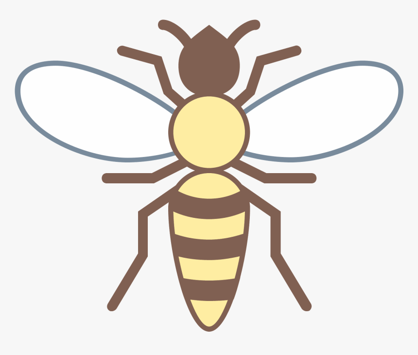 Vector Insects Hornet - Wasp, HD Png Download, Free Download