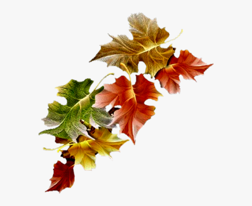 Free Animated Autumn Leaves Gifs Clipart , Png Download - Free Animated Autumn Gifs, Transparent Png, Free Download