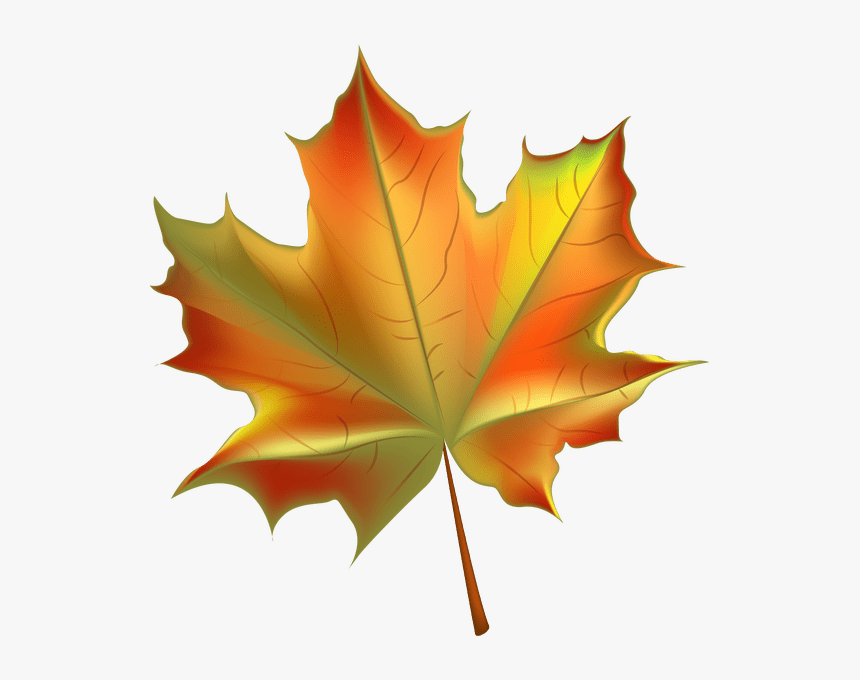 Transparent Leaf Pile Png - Fall Leaf Transparent Background, Png Download, Free Download