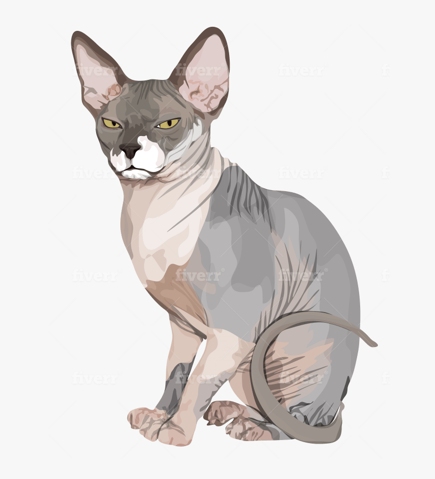 Sphynx, HD Png Download, Free Download