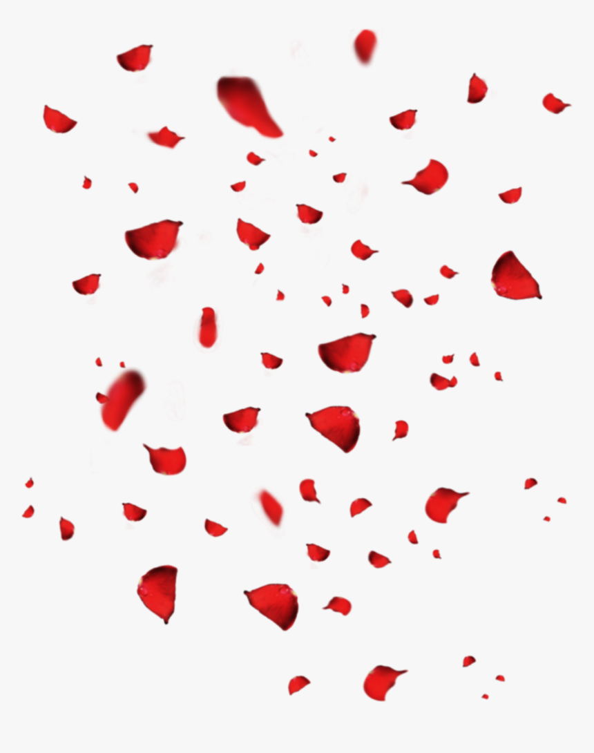 #petals #rosepetals #rosepetal #rose #fallingpetal - Falling Rose Petals Png, Transparent Png, Free Download