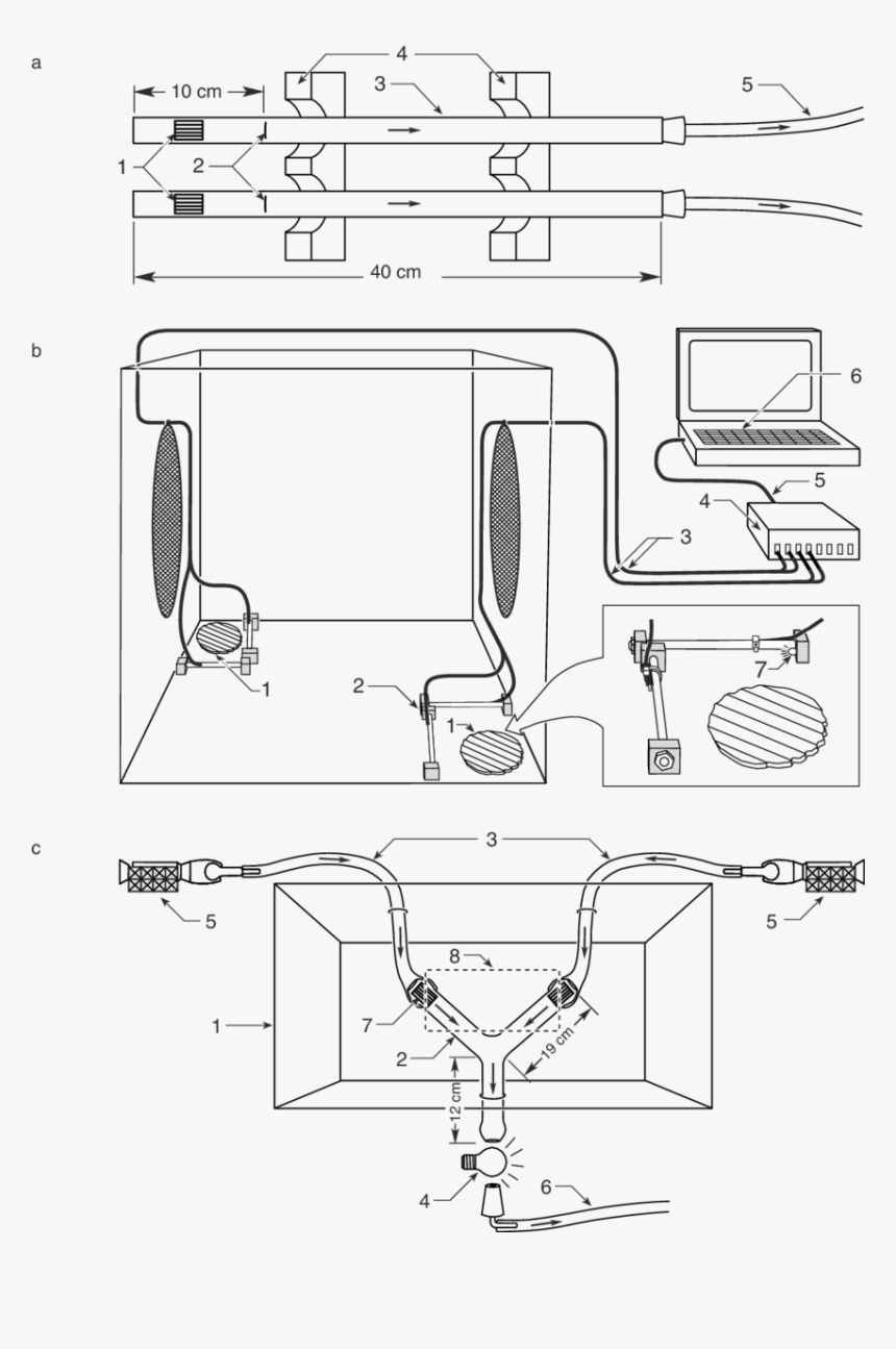 Line Art, HD Png Download, Free Download