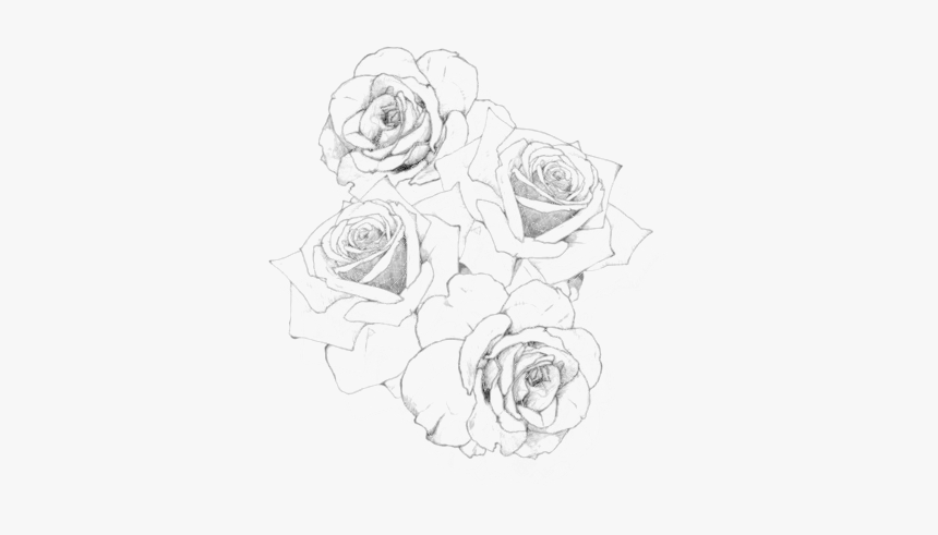 #rosas #rose #png #recursos #negro #black #black & - Rose Tattoo Png, Transparent Png, Free Download