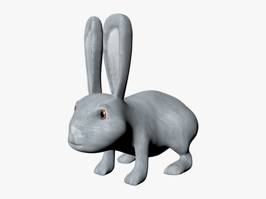 Domestic Rabbit, HD Png Download, Free Download