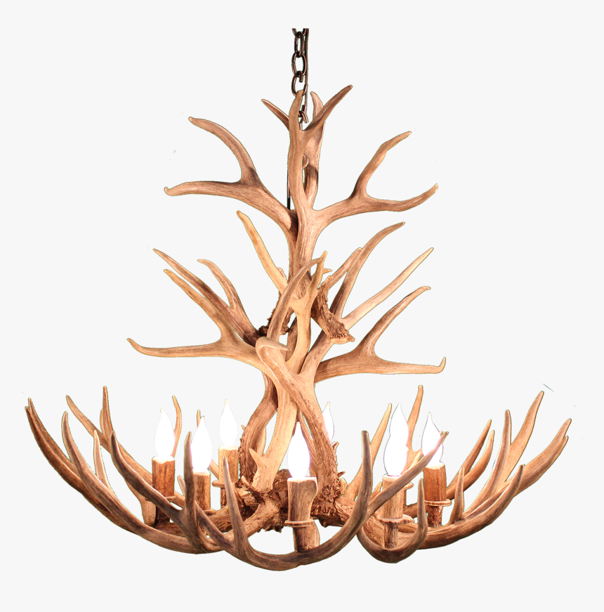 Transparent Deer Antlers Png - Antler, Png Download, Free Download