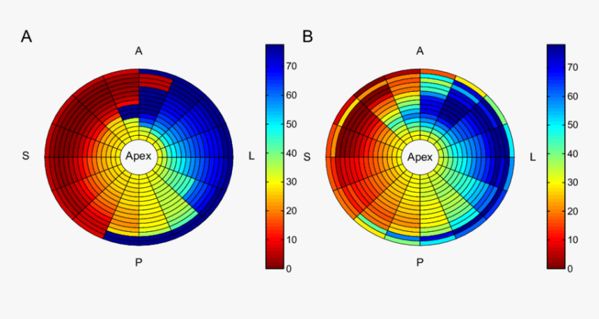 Circle, HD Png Download, Free Download