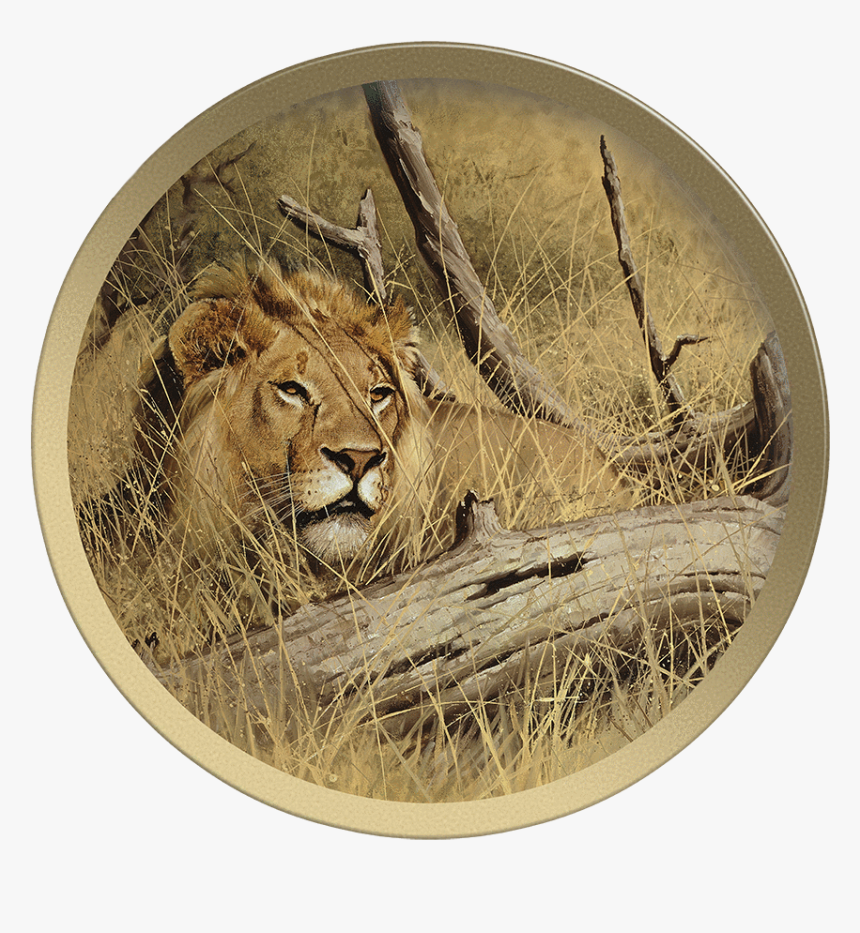 Siberian Tiger Head Plate - Circle, HD Png Download, Free Download