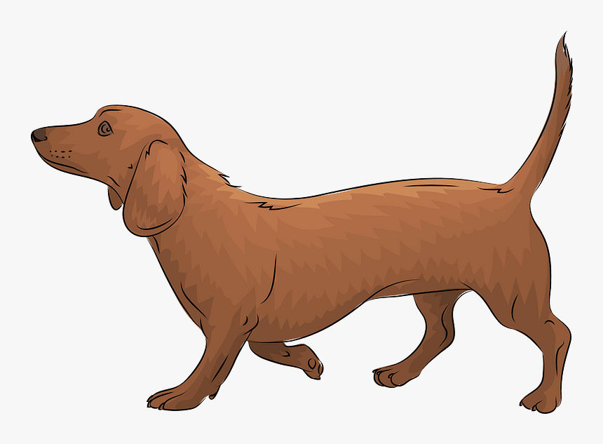 Dachshund Clipart - Clipart Dachshund, HD Png Download, Free Download