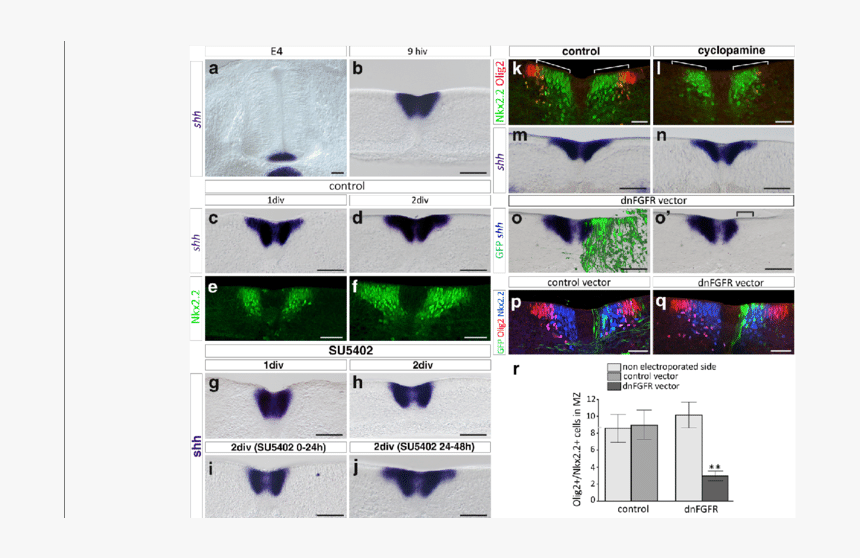 Screenshot, HD Png Download, Free Download