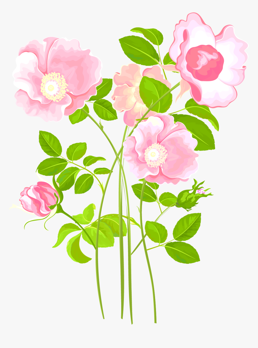Transparent Garden Plants Png - Garden Roses, Png Download, Free Download