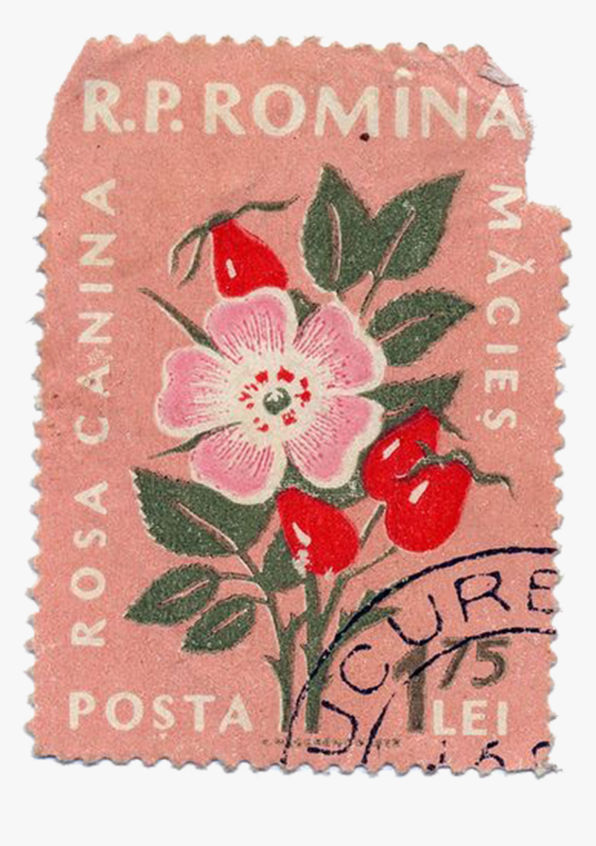#stamp #vintagestamp #oldstamp #flower #flowers - Vintage Floral Postage Stamp, HD Png Download, Free Download