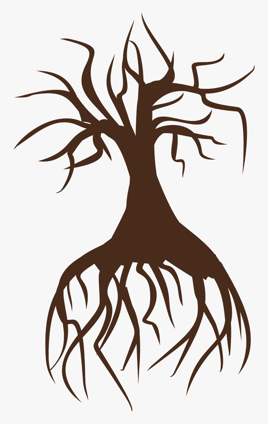 Tree Icon With Roots Png, Transparent Png, Free Download