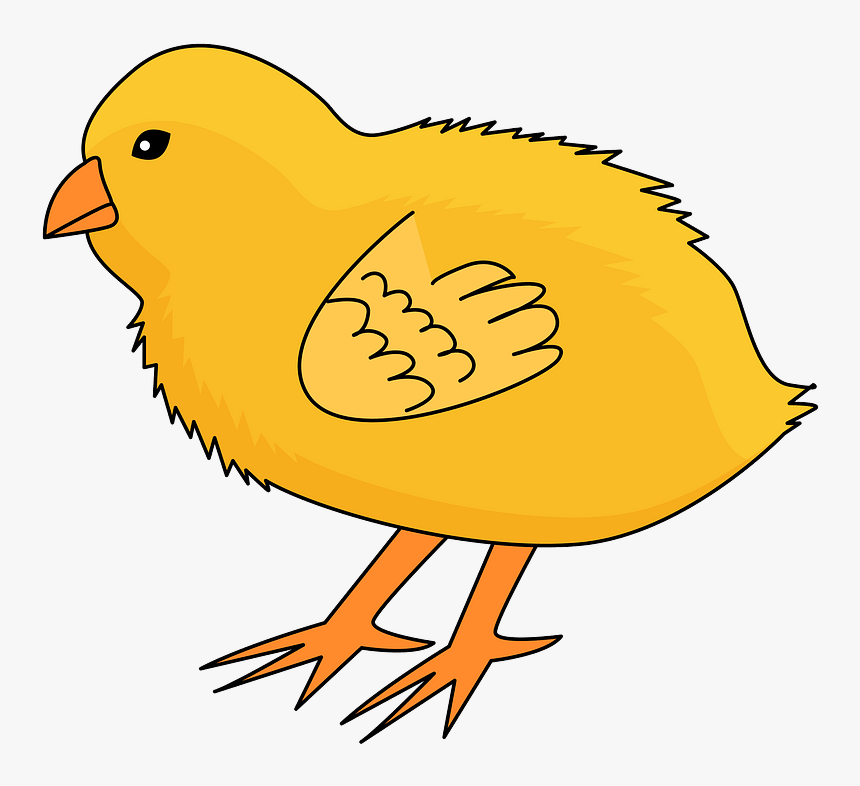 Chick Clipart, HD Png Download, Free Download