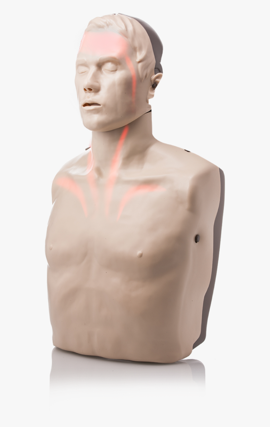 Bigred™ Lightsaving Manikins - Light Up Cpr Manikins, HD Png Download, Free Download