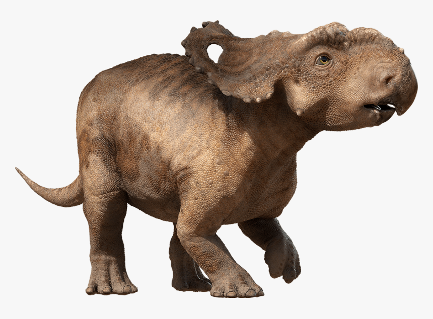 Walking With Dinosaurs Young Patchi , Png Download - Patchi Walking With Dinosaurs, Transparent Png, Free Download