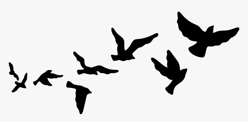 Flying Birds Clip Art, HD Png Download, Free Download