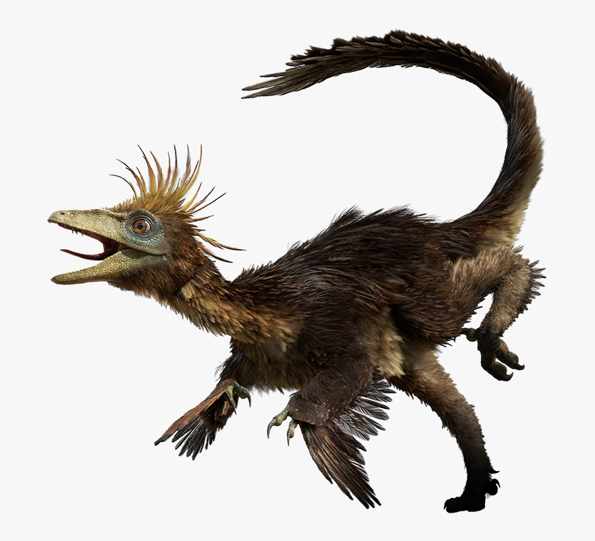 Walking With Dinosaurs Troodon, HD Png Download, Free Download