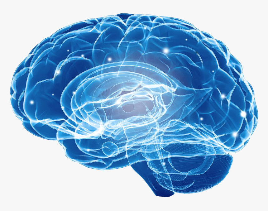 Blue Brain Png Image - Brain, Transparent Png, Free Download