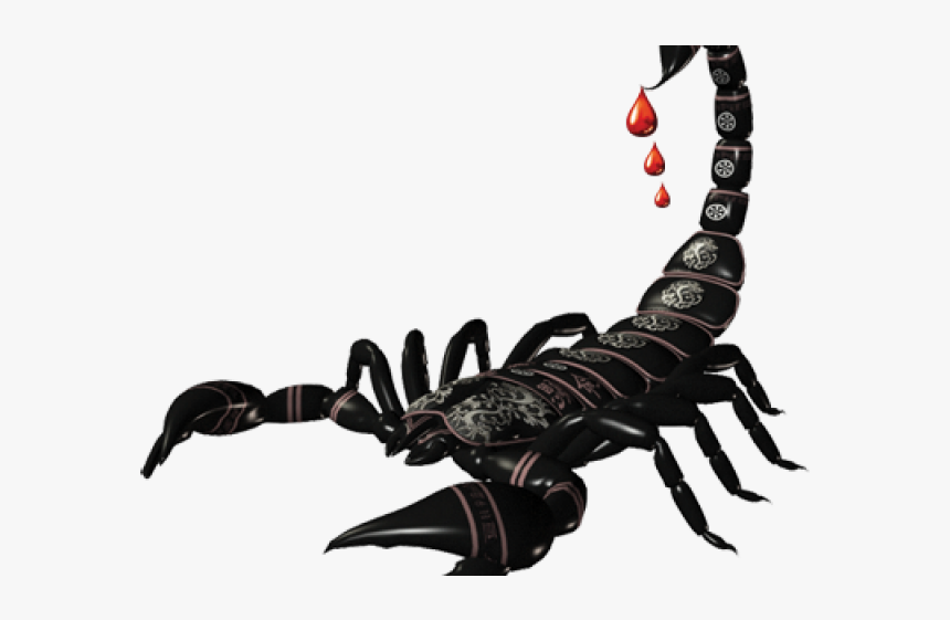 Scorpio Png Transparent Images - Scorpion Png, Png Download, Free Download