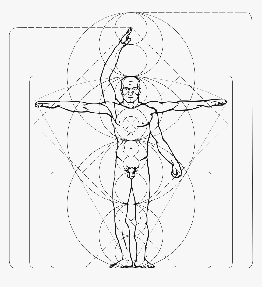 Human Body Reference Image Vitruvian , Png Download - Vector Vitruvian Man Logo, Transparent Png, Free Download