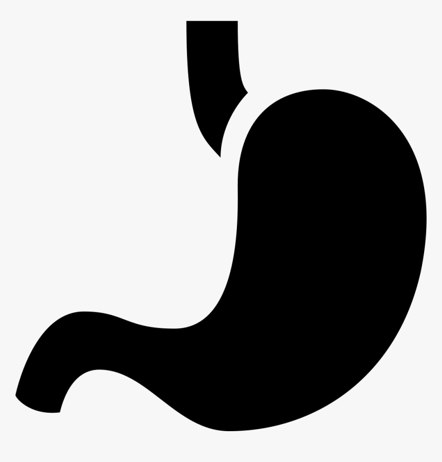 Stomach - Stomach Icon, HD Png Download, Free Download